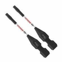 Bosch ITDT10202 - 2pc. 2 In. TorxÂŽ #10 Power Bi