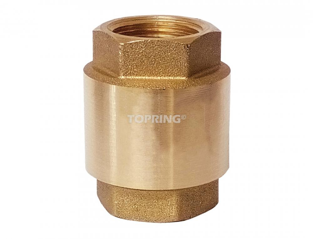 Brass Check Valve 2 (F) BSPP