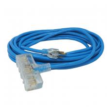 Southwire 41698806 - CORD- HV/LT 12/3 100' SJTW T-S BLUE